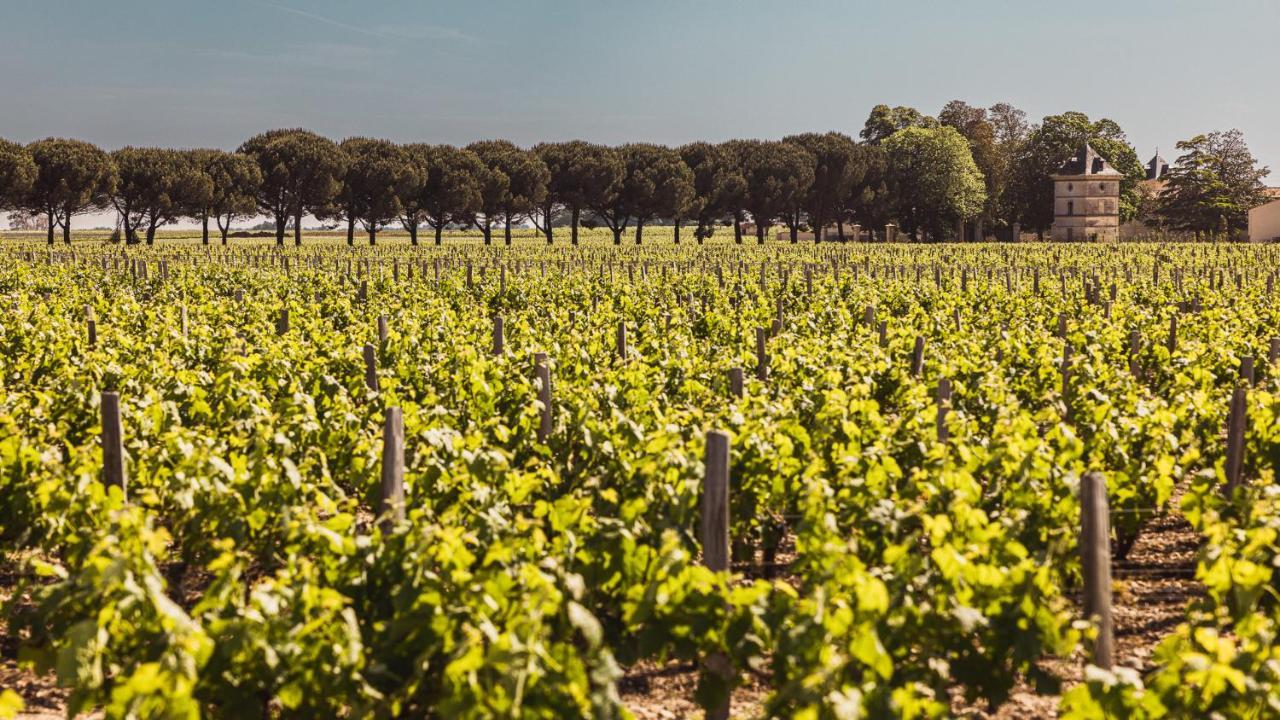 Chateau Laffitte Carcasset Saint-Estèphe 외부 사진