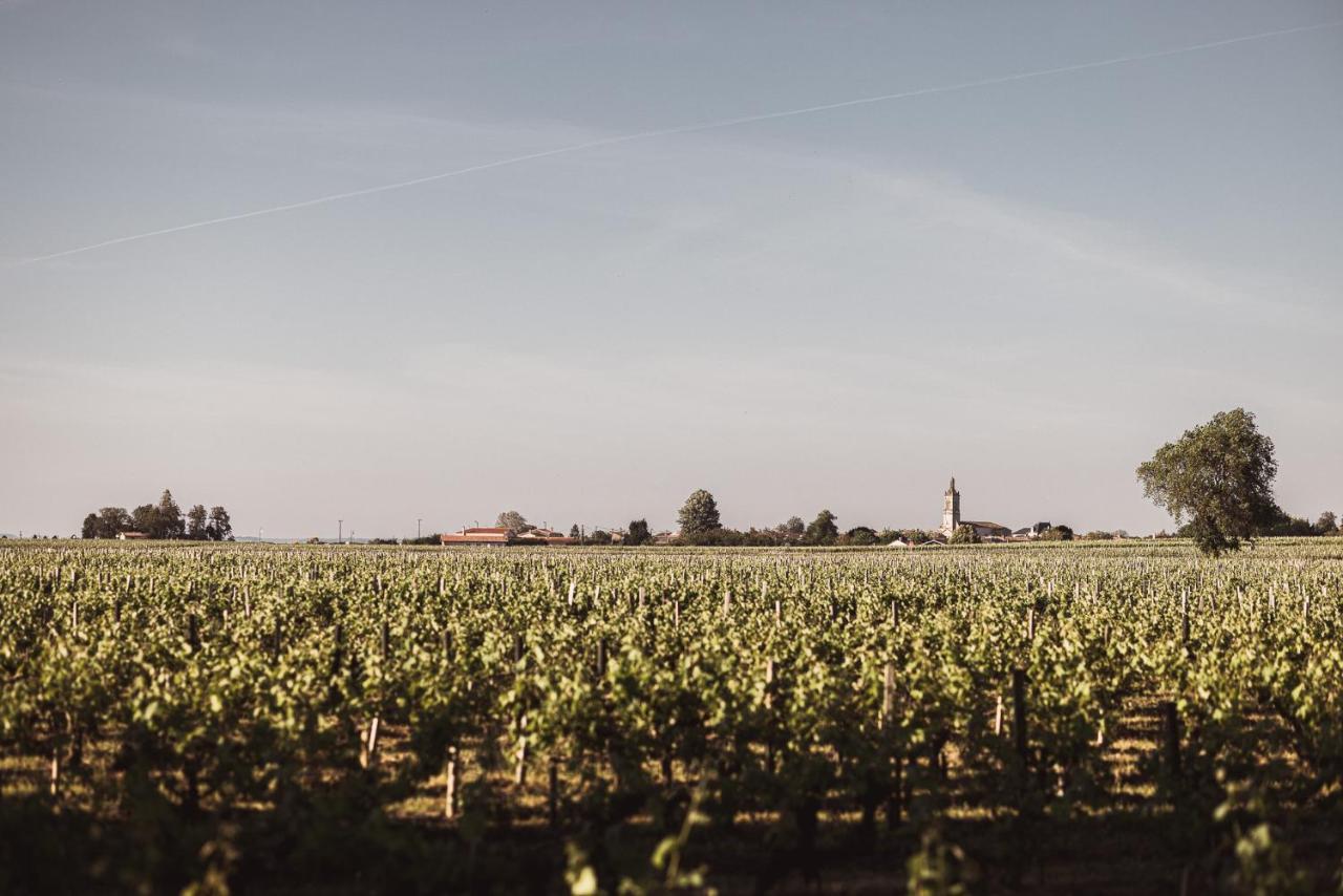Chateau Laffitte Carcasset Saint-Estèphe 외부 사진